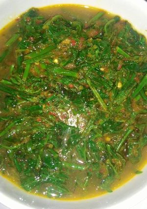 Foto resep Tumis Pakis Terasi Pedas