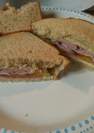 A picture of Ham Sandwich batch 7.