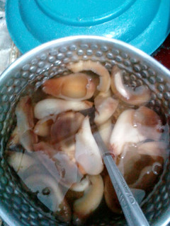 Foto resep Setup salak
