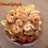 Shrimp Scampi with Pasta
