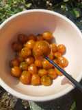 Cilok wortel
