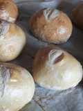 Easy NO KNEAD bread rolls