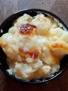 Une photo de Gratin chou fleur mozzarella