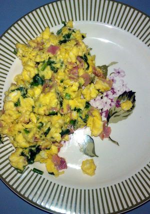A picture of ham and swiss scrambled eggs.