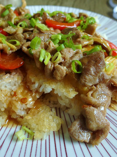 【一鍋到底】豬肉鍋巴 的食譜成品照片