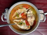 Canh cá chẽm nấu 🍅
