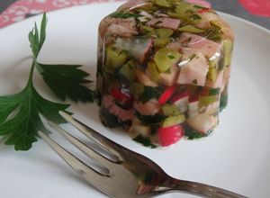 Une photo de Aspic fraîcheur