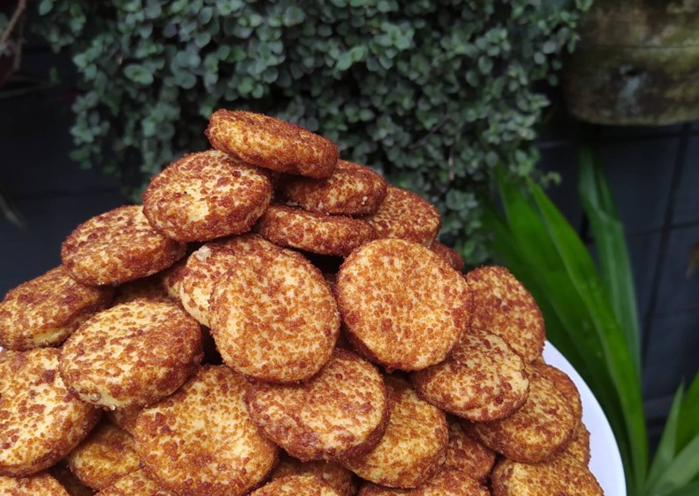 (53). Palm Cheese Cookies