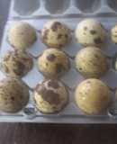 Huevos de codorniz