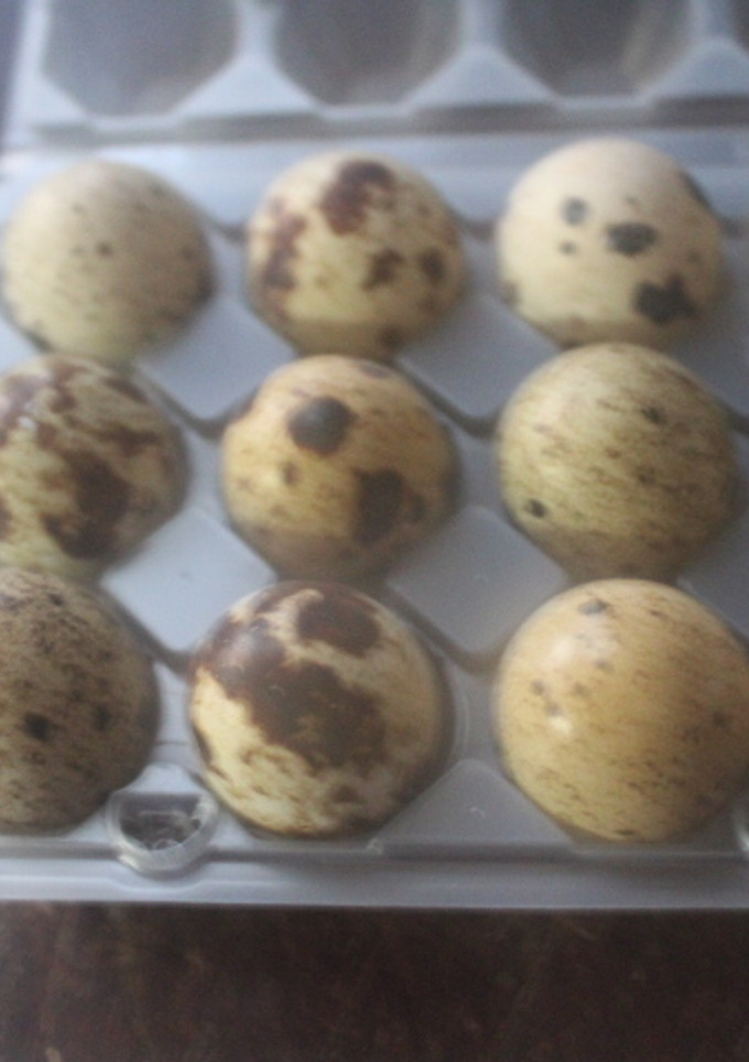 Una foto de Huevos de codorniz