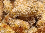 Una foto de pollo panko