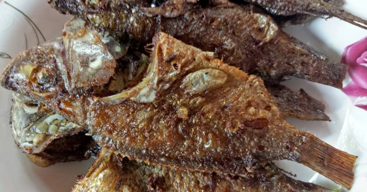 428 resep ikan mujair goreng enak dan sederhana - Cookpad