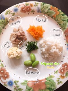 Foto resep Mpasi 6M+ Chicken Porridge Soup