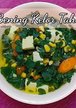 Foto resep Bening Kelor Tahu