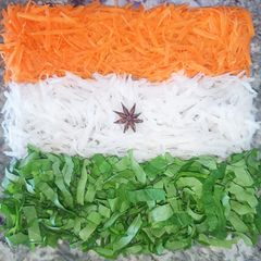 Indian Flag by Natural Way A picture of Indian Flag by Natural Way.