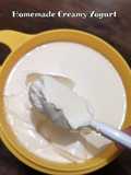 Homemade Creamy Yogurt