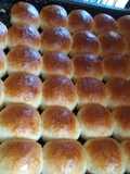 Tortuguitas