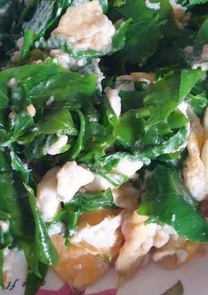 รูปของ ผักหวานป่าผัดไข่