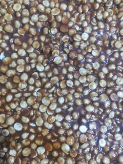 દાળિયા ની ચીક્કી (Daliya Chikki Recipe in Gujarati) રેસીપી મુખ્ય ફોટો