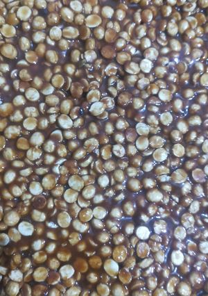 દાળિયા ની ચીક્કી (Daliya Chikki Recipe in Gujarati) રેસીપી મુખ્ય ફોટો