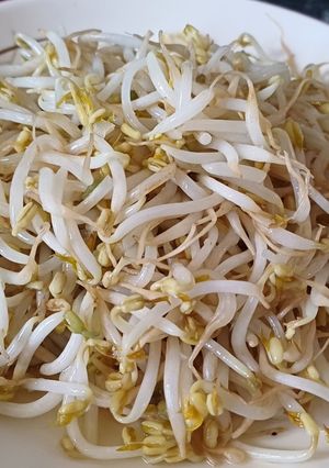 Foto resep Cah tauge