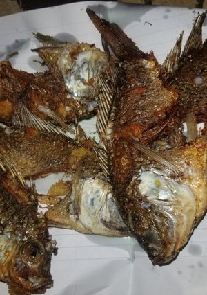 Kifi soyaye ainihin hoton girkin