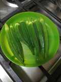 Lalapan Okra/Lady Fingers