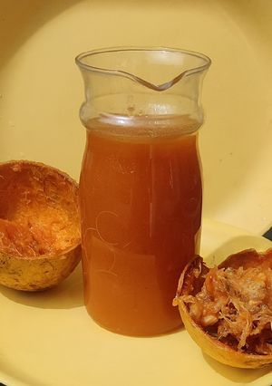 बेल का शर्बत(bel ka sharbat recipe in hindi) रेसिपी मुख्य फोटो