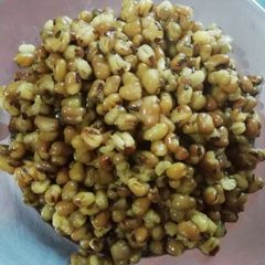 A picture of Moogndal fry.
