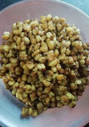 A picture of Moogndal fry.