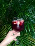 Tinto de verano 🍷
