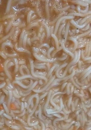 A picture of Noodle.