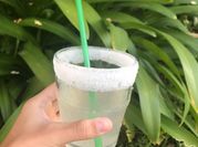 Una foto de menta fresca