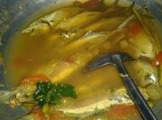 Gambar pindang serani ikan laut