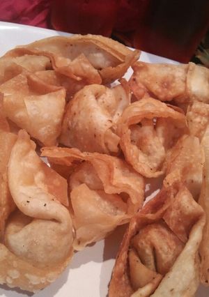 A picture of Wonton.