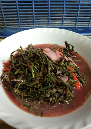 Foto resep Kelakai sederhana