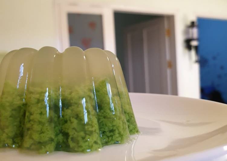 Puding Lumut
