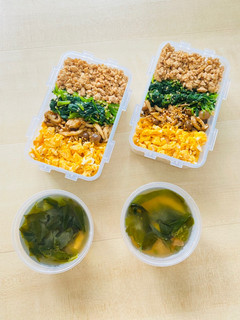 A picture of Soboro Donburi.