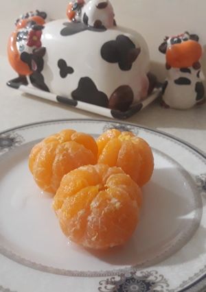 عکسی از دستور ترشی نارنگی