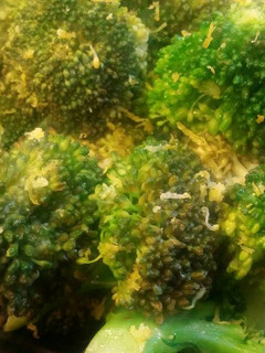A picture of Lemon Broccoli .