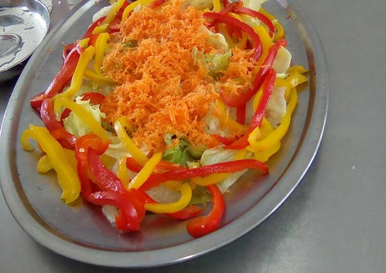 Lettuce, carrot and yellow, red pepper salad