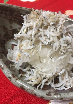 A picture of Japanese Daikon Radish with young Sardines.