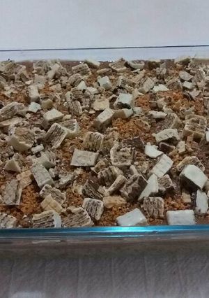 Foto de Torta de Bolacha com amendoin
