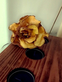 عکسی از دستور ساخت گل رز با برگه کدو حلواییRoses with pumpkins