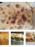 Tartas de choclo y calabacín c/acelga y atún/ cebolla y morrón