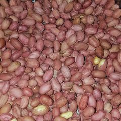 Pea nuts A picture of Pea nuts.