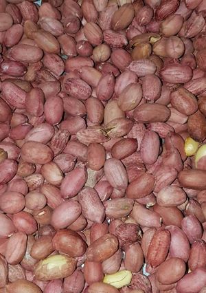 A picture of Pea nuts.