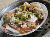 Tim Ikan Gabus