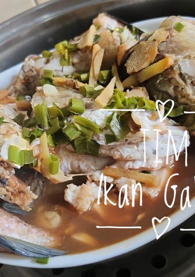 Foto resep Tim Ikan Gabus