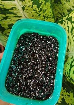 Foto resep 47. Boba Homemade (GBA.9)